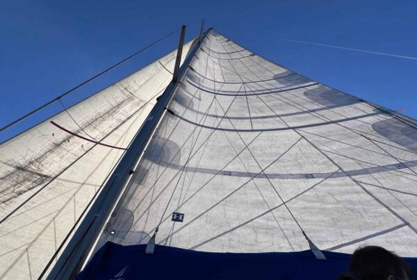 Corso Vela Estivo
